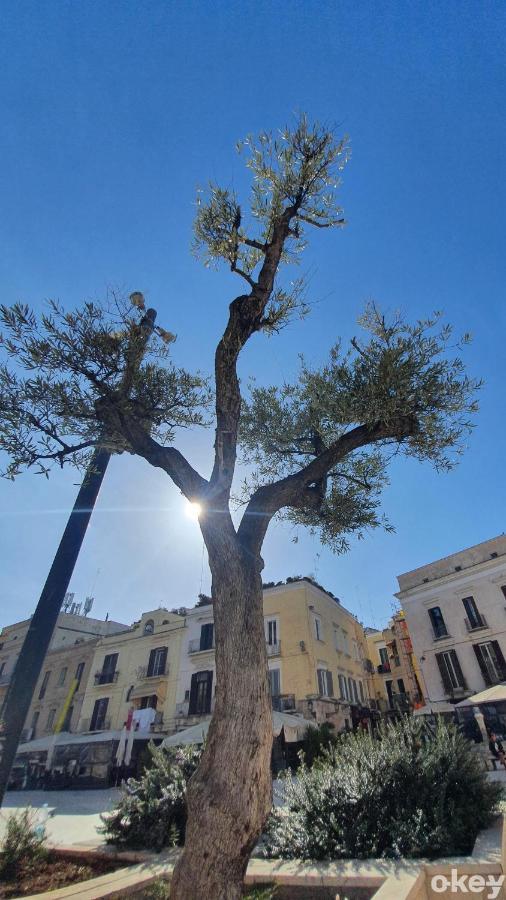 Apartament Dimora Donna Vittoria - Bari Vecchia Zewnętrze zdjęcie